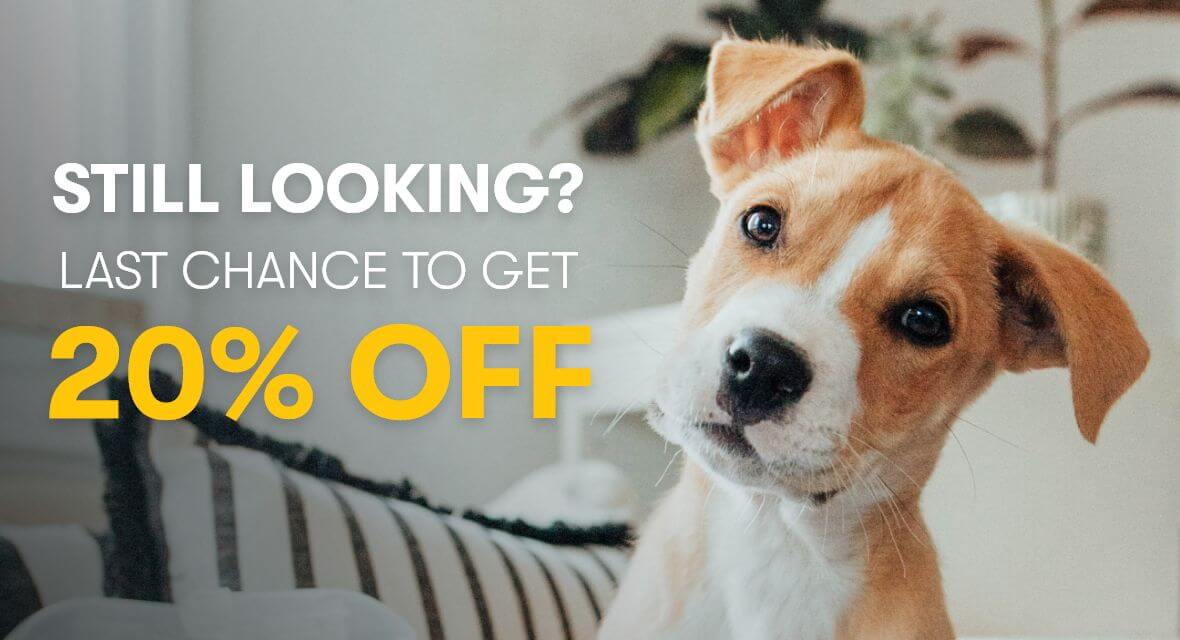 STILL LOOKING? LAST CHANCE TO GET 20% OFF!