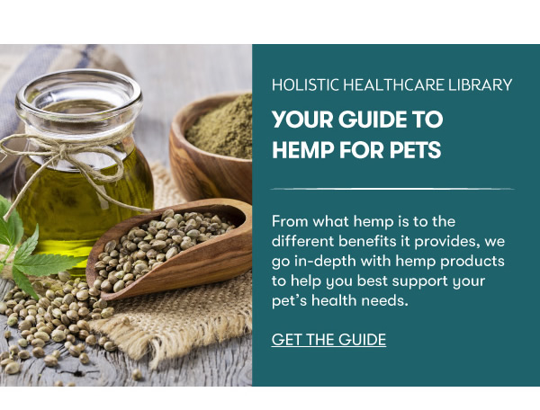 Hemp Guide for Pets