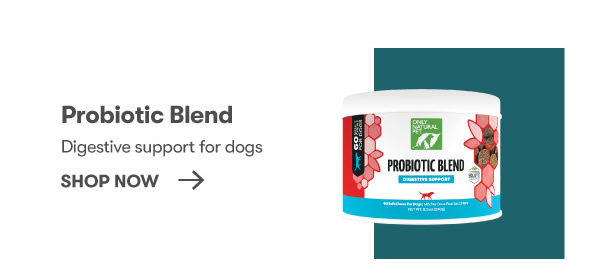 Probiotic Blend