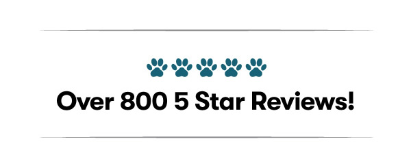 800 5 StarReviews