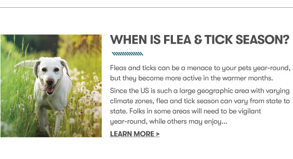When is Flea & Tick Season?