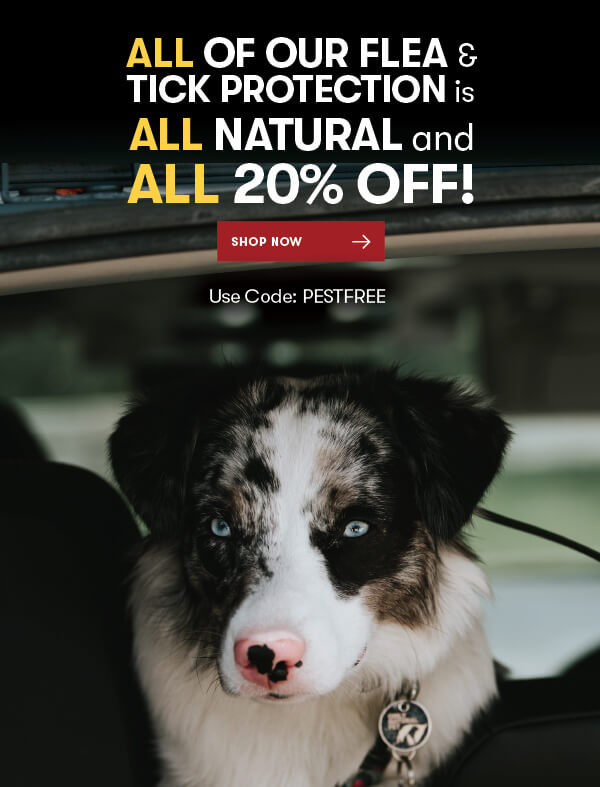All Natural Flea & Tick - 20% OFF