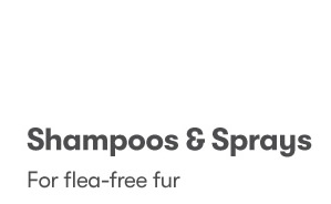 20% OFF Shampoos & Spray