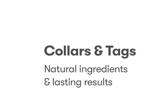 20% OFF Collars & Toys