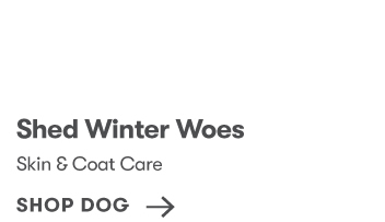 Shop Dog