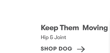 Shop Dog
