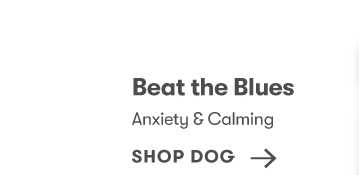 Shop Dog