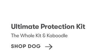 Shop Dog