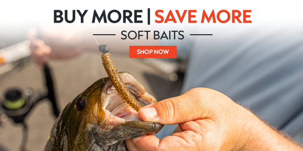 SOFT BAITS
