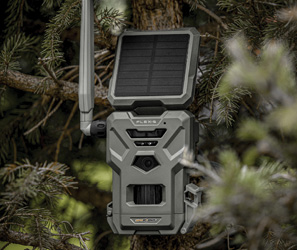 Trail Cameras