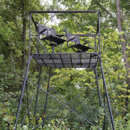Tree Stands