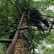 Climbing Sticks