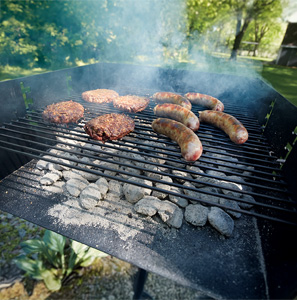 Guide Gear Park-Style Charcoal Grills