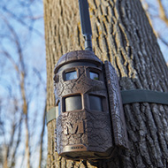 Trail Cameras