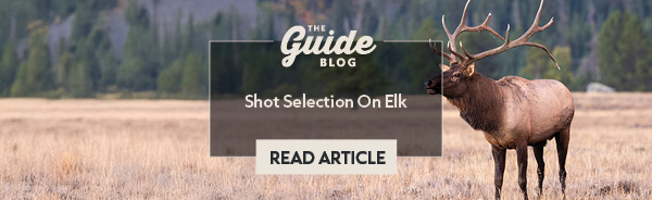 Shot Selection On Elk