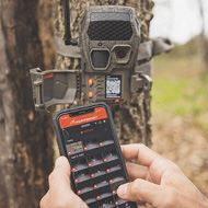 Trail Cameras