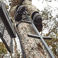 Climbing Sticks