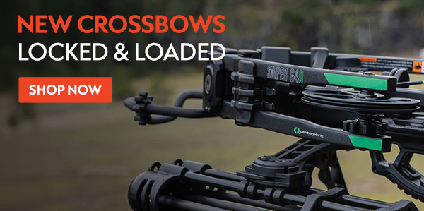 New Crossbows