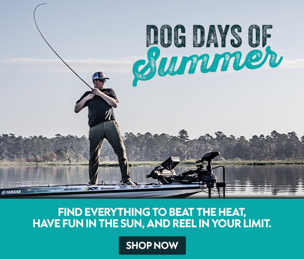 Summer Fishing