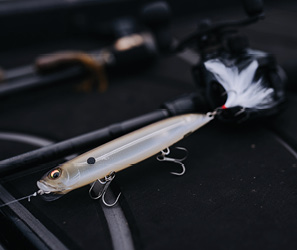 Fishing Lures