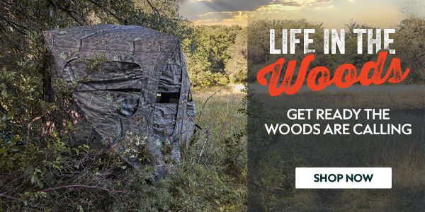 Life In the Woods