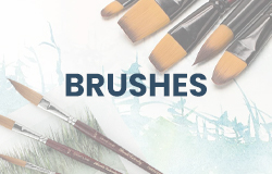 Shop All Brushes