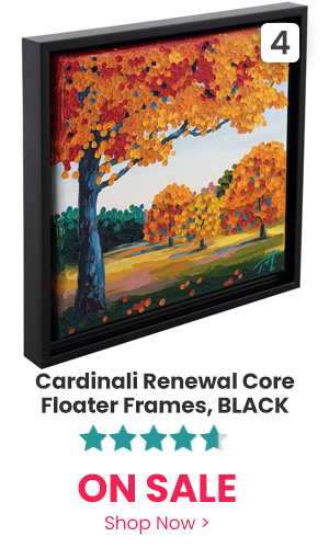 https://mediacdn.espssl.com/9355/jerrys/jerrys-products/frames/cardinali-floater-frames/cardinali-black-4.jpg