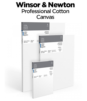 Shop Winsor & Newton Professional Cotton Canvas