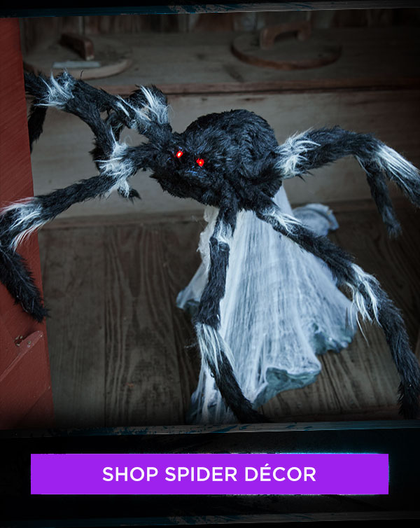 Shop spider decor