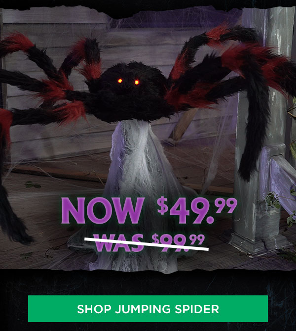 Shop jumping spider