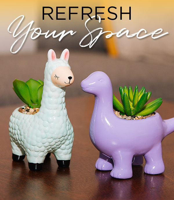 shop room decor & accessories