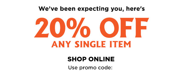 20% off any single item