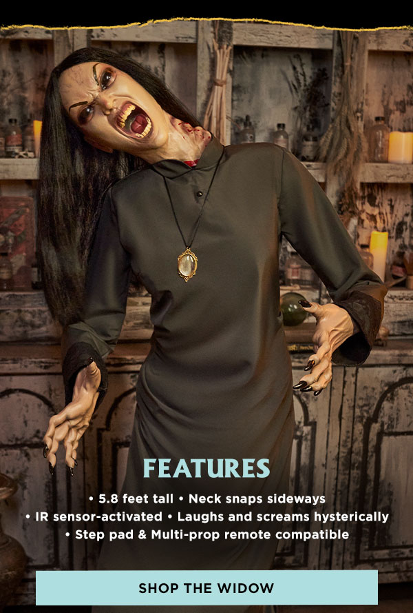 Shop The Widow