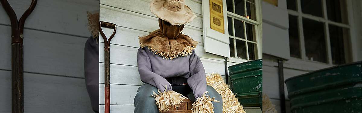 How to Make Your Own Spooky Scarecrow