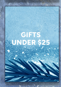 Gifts Under $25