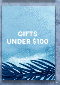 Gifts Under $100