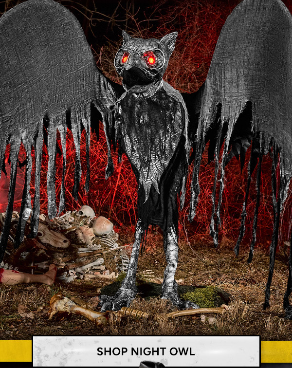 Shop Night Owl