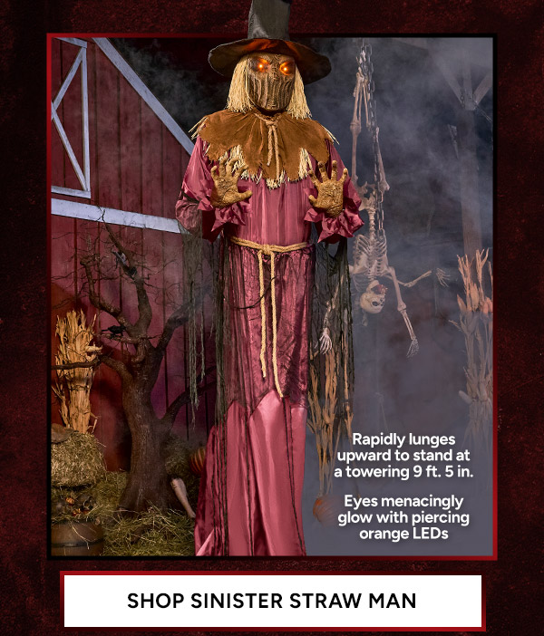 Shop Sinister Straw Man