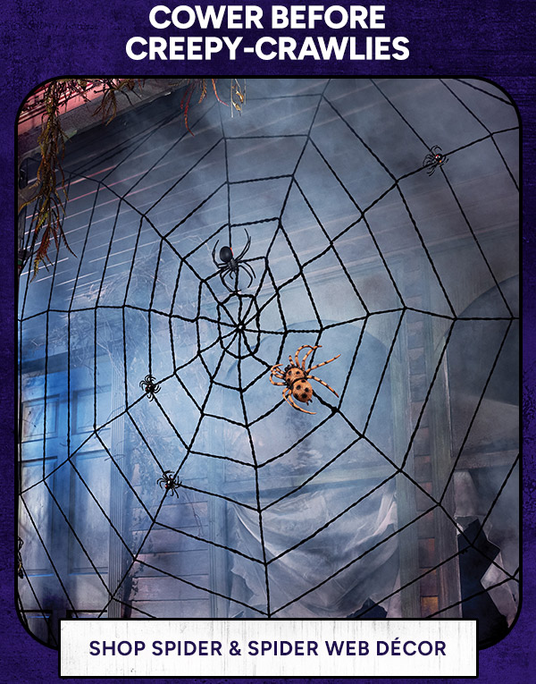 Shop Spider & Spider Web Décor