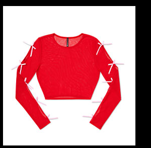 Red and Pink Bow Long Sleeve Mesh Crop Top