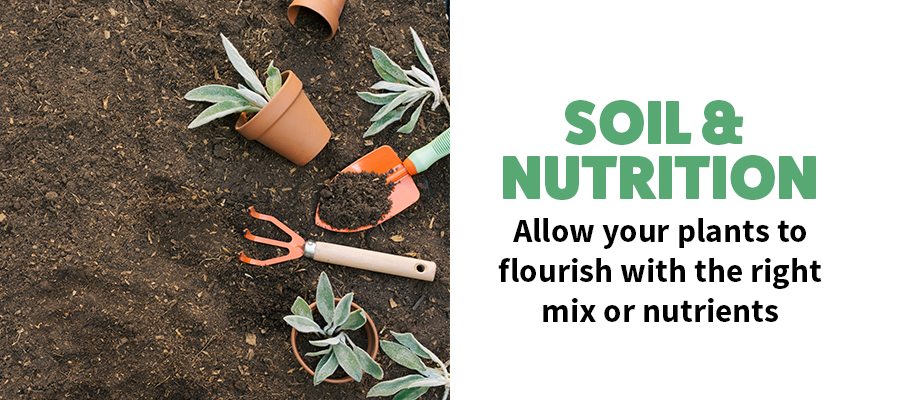 Allow your plants to flourish with the right mix of nutrients