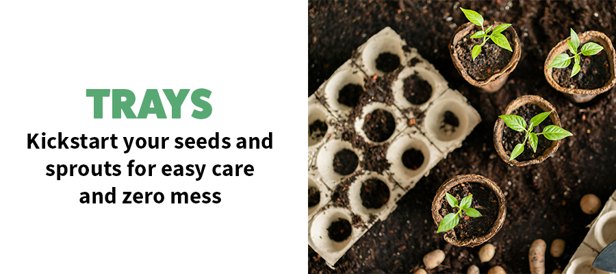 Kickstart your seeds and sprouts for easy care and zero mess