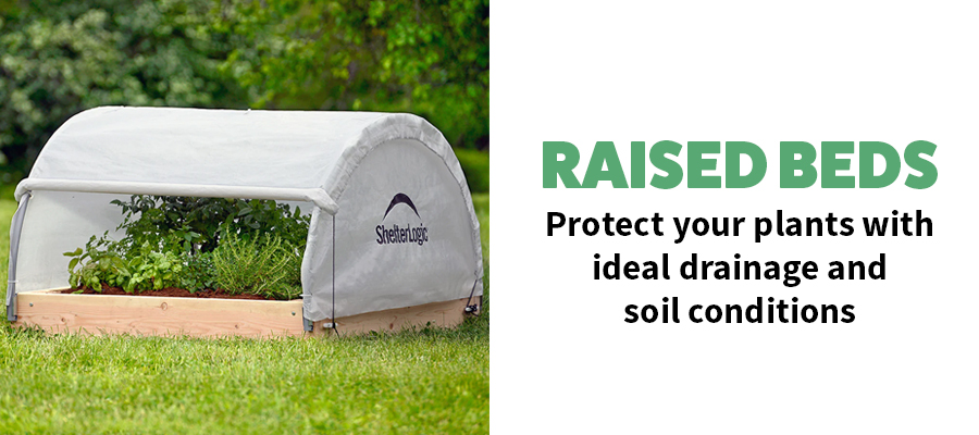 Protect your plants with ideal drainage and soil conditions