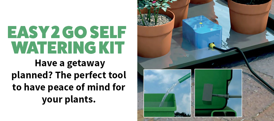 Have a getaway planned? The perfect tool to have peace of mind for your plants