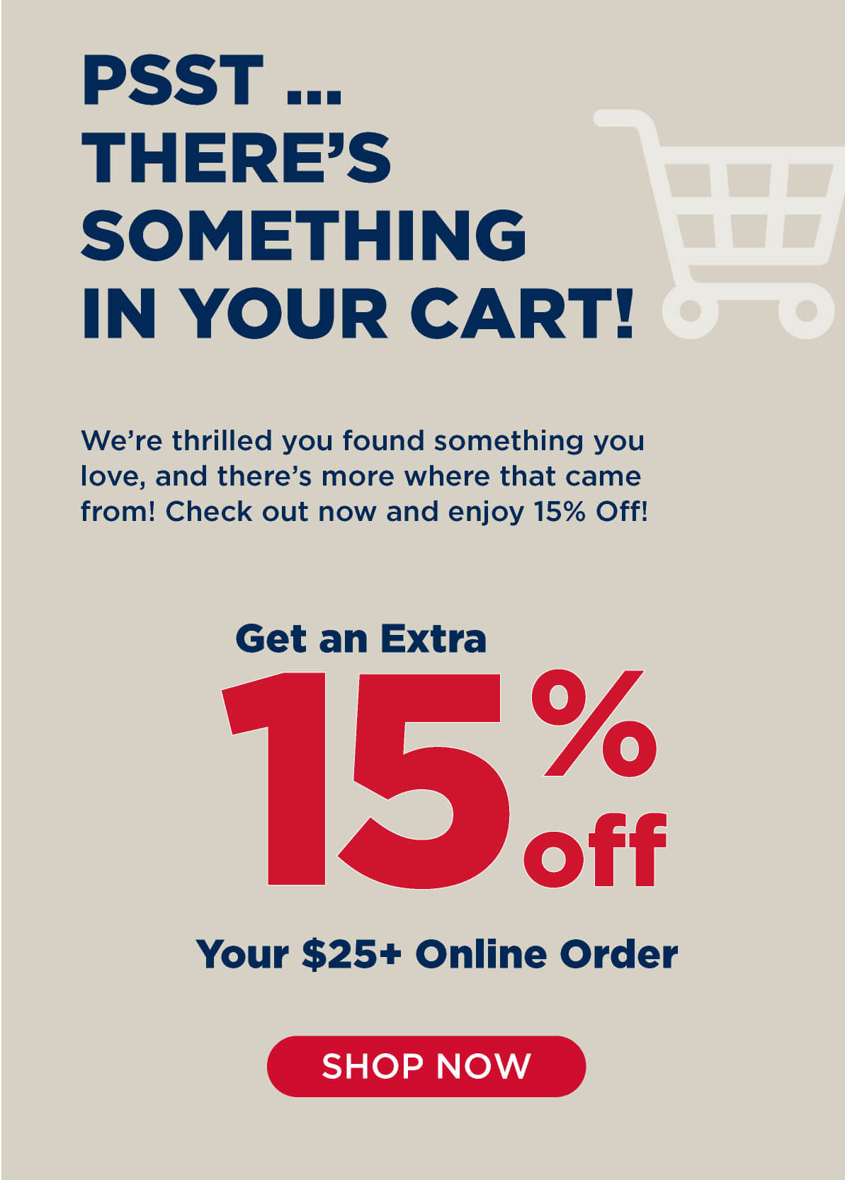 Psst...There's Something In Your Cart! Get an EXTRA 15% OFF your $25 online order! Come back and complete your purchase today! Shop Now.