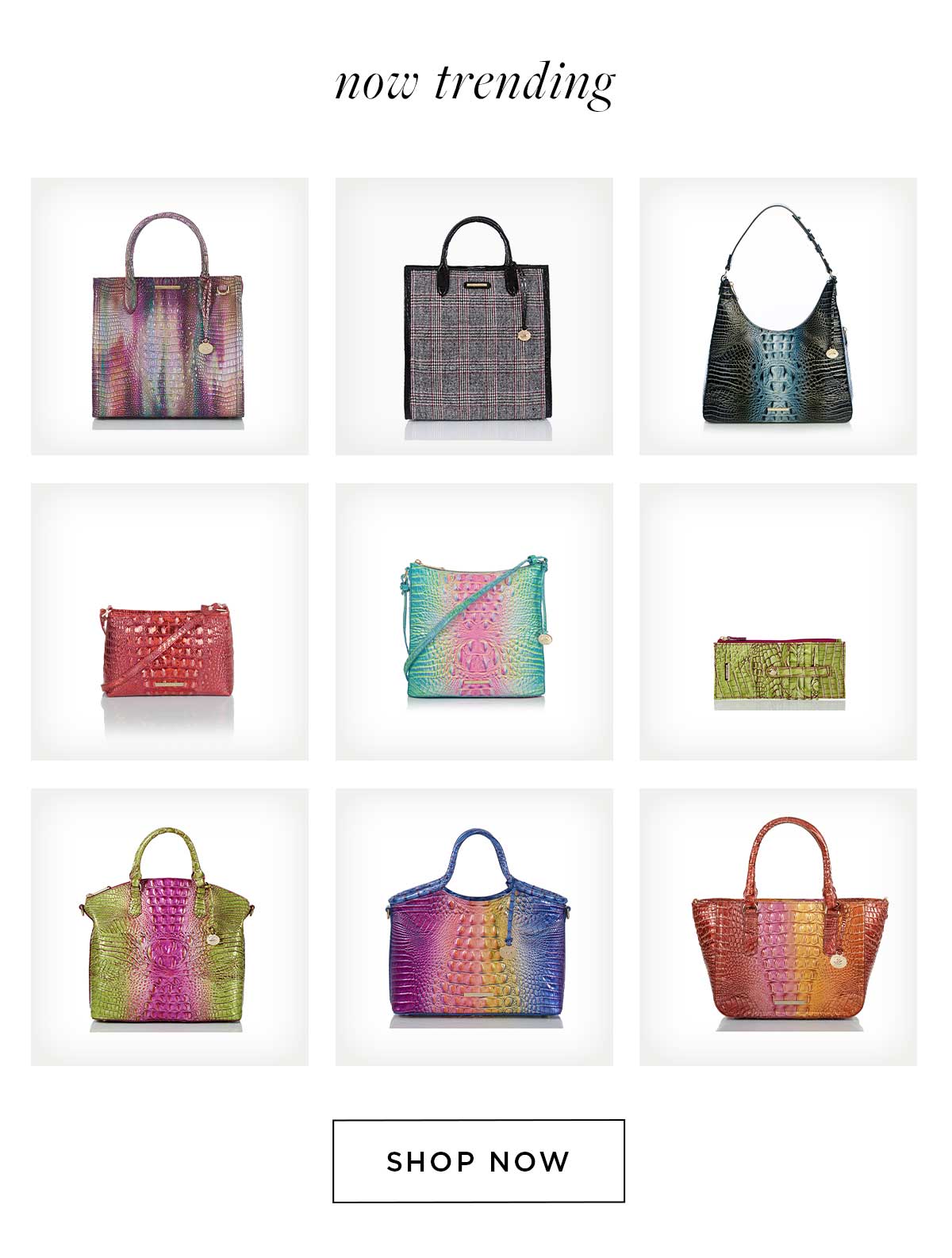 Brahmin Handbags - It's HERE!! The Online Outlet Event is ON