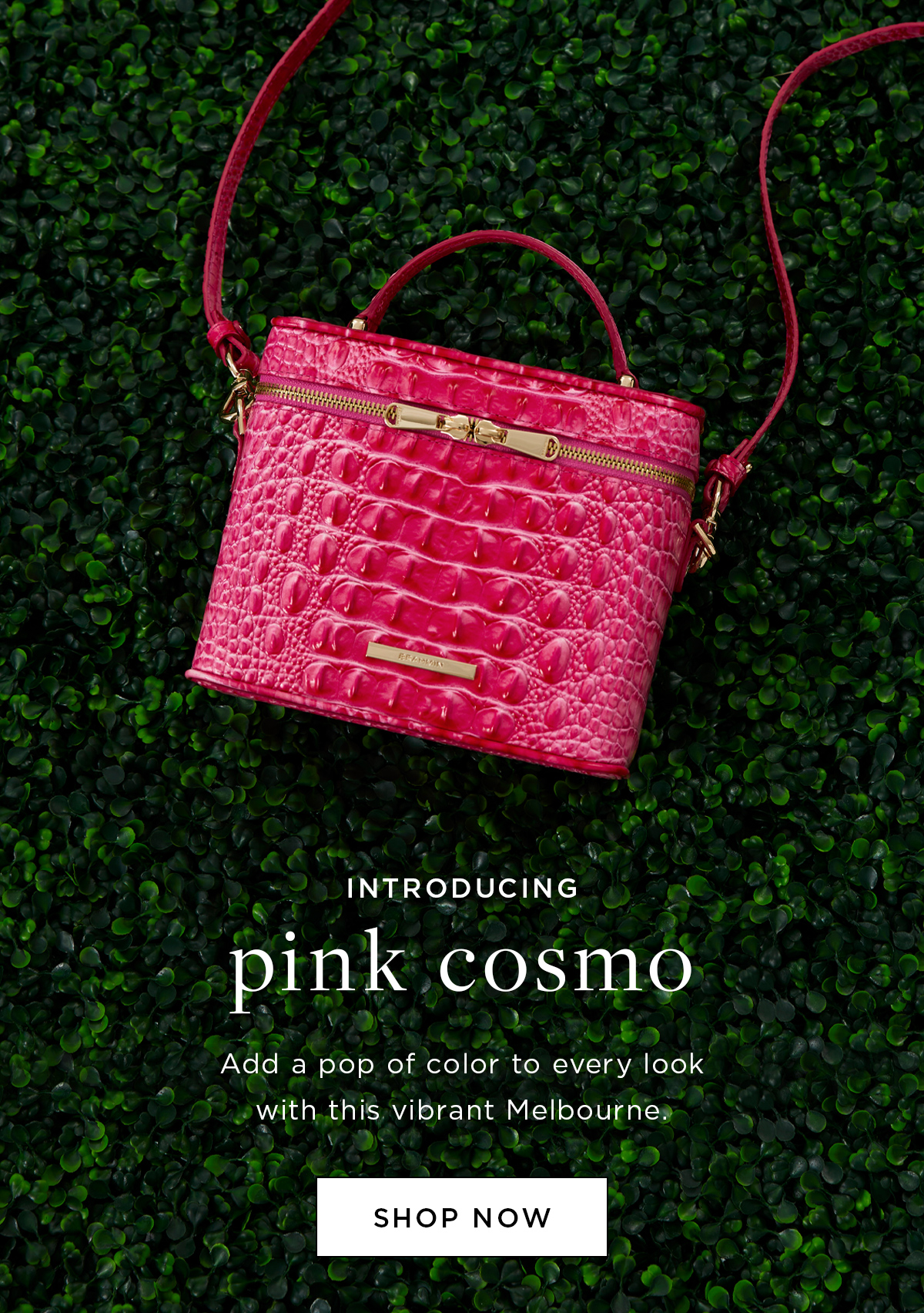 Brahmin, Bags, Caroline Pink Cosmo