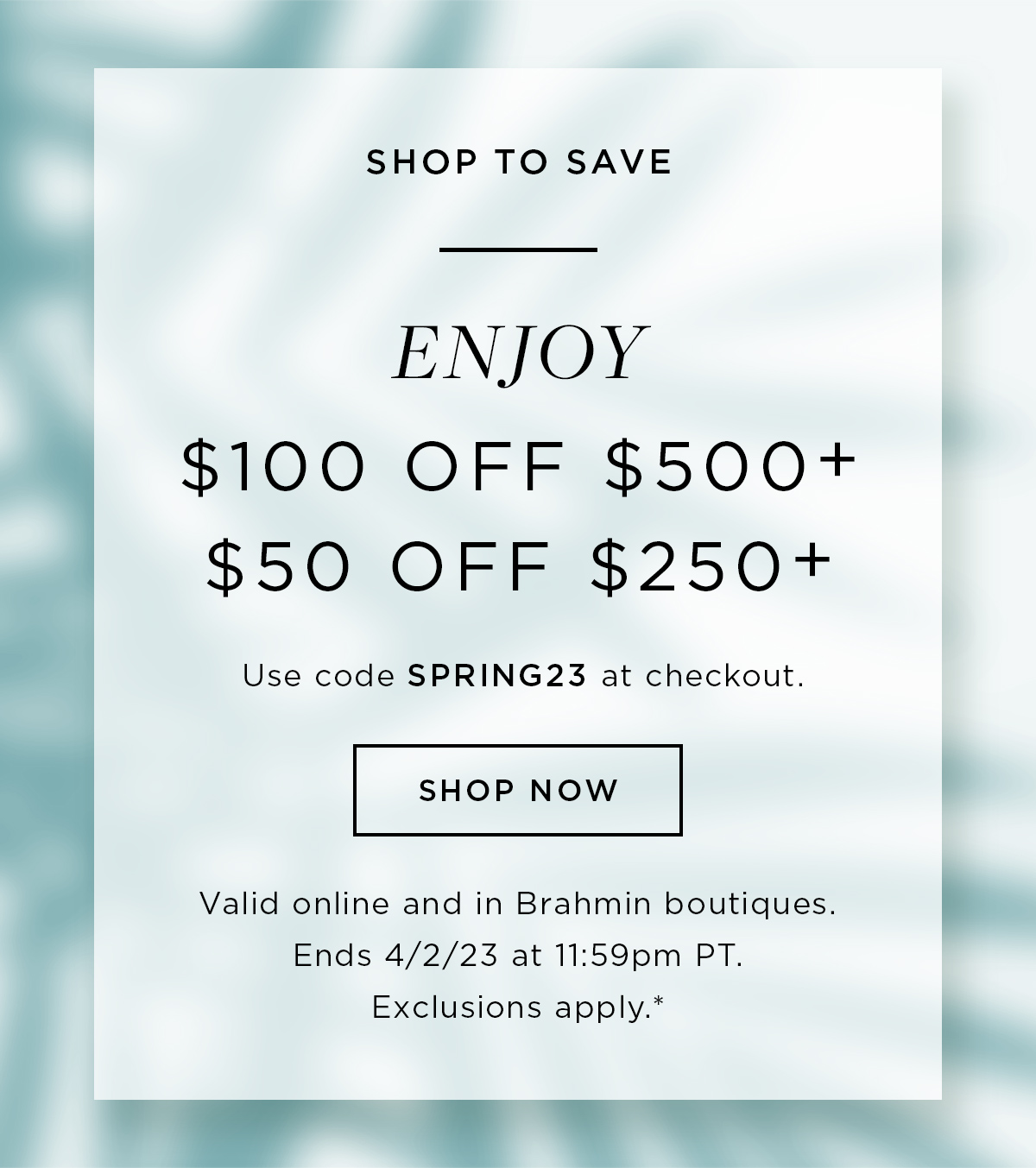 Shop Brahmin Online