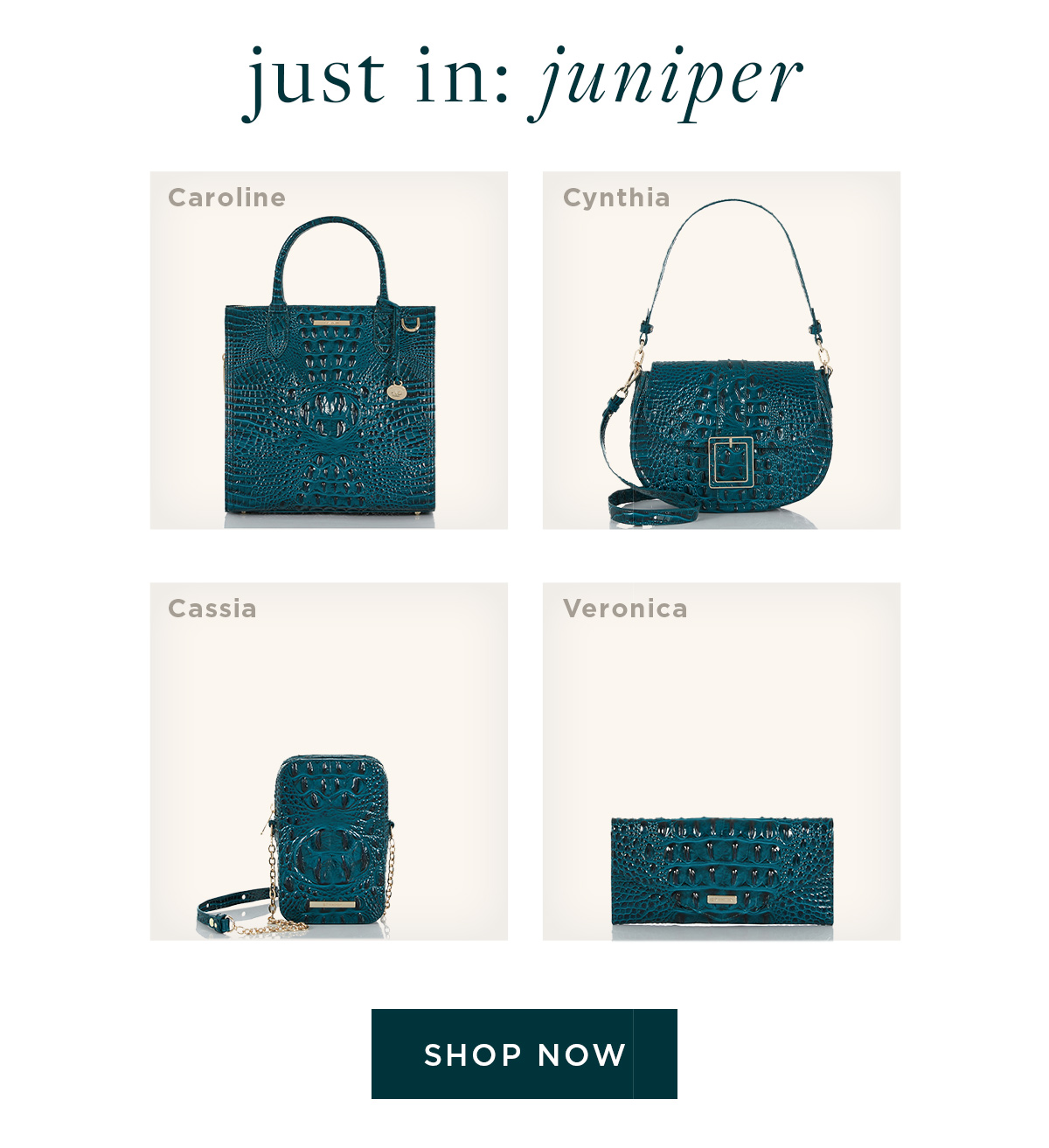 Brahmin Handbags - It's HERE!! The Online Outlet Event is ON