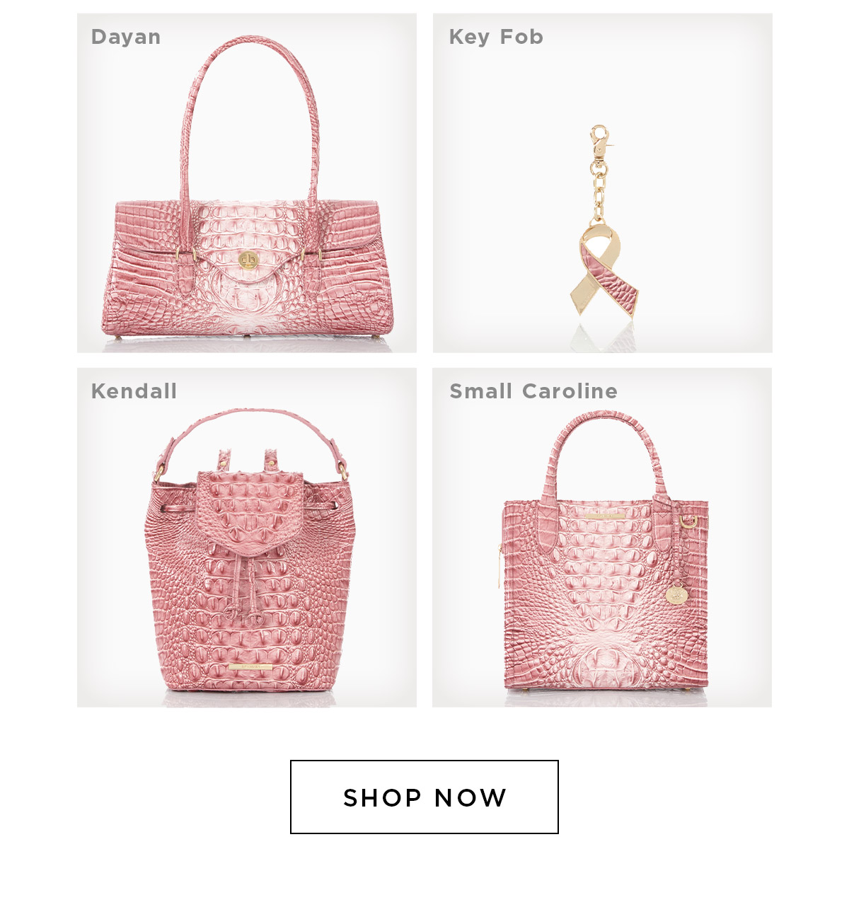 Believe in the power of PINK Brahmin Handbags